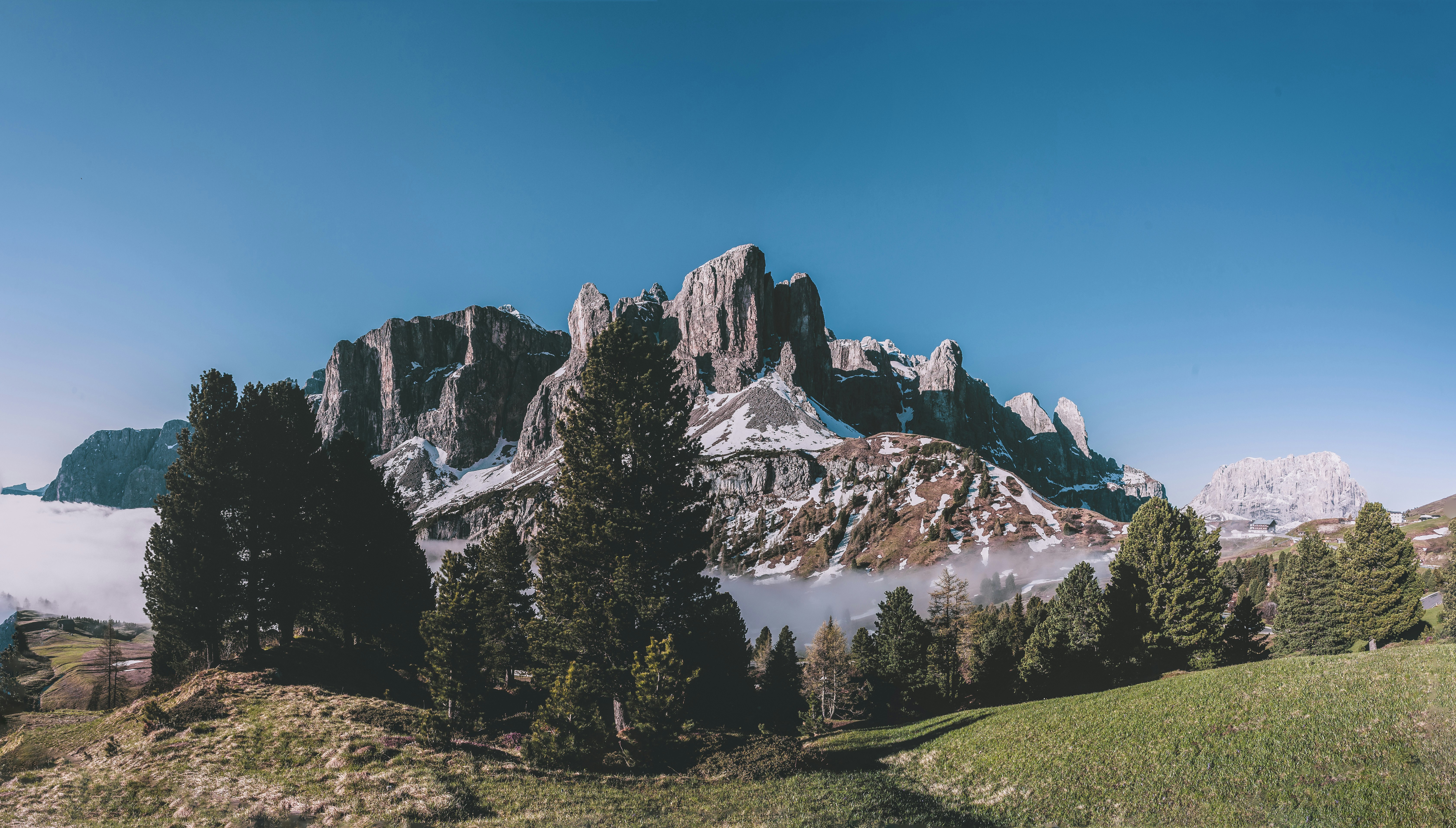 photo of mountain near trees